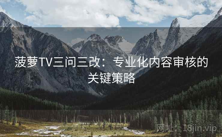 菠萝TV三问三改:专业化内容审核的关键策略