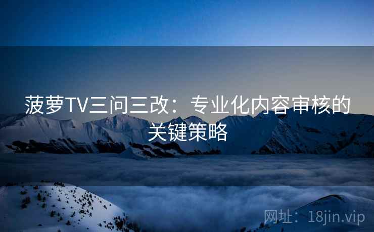 菠萝TV三问三改:专业化内容审核的关键策略