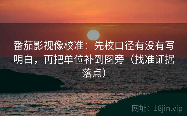 番茄影视像校准：先校口径有没有写明白，再把单位补到图旁（找准证据落点）