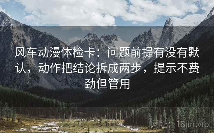 风车动漫体检卡：问题前提有没有默认，动作把结论拆成两步，提示不费劲但管用