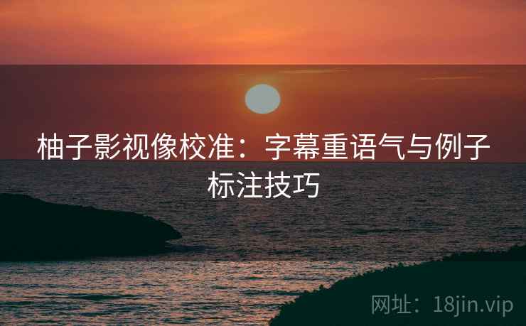 柚子影视像校准：字幕重语气与例子标注技巧