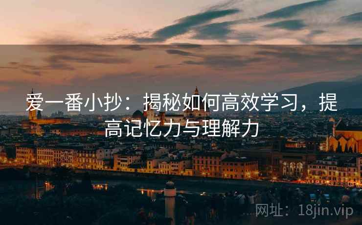 爱一番小抄：揭秘如何高效学习，提高记忆力与理解力